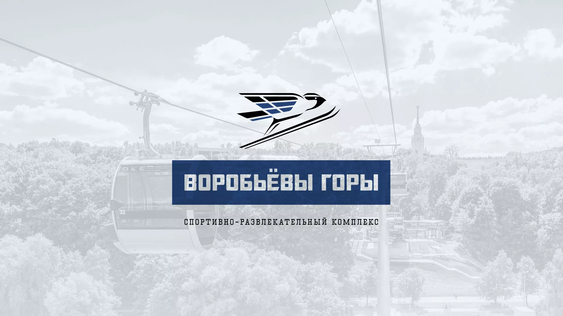 Разработка сайта в Далматово для спортивно-развлекательного комплекса «Воробьёвы горы»