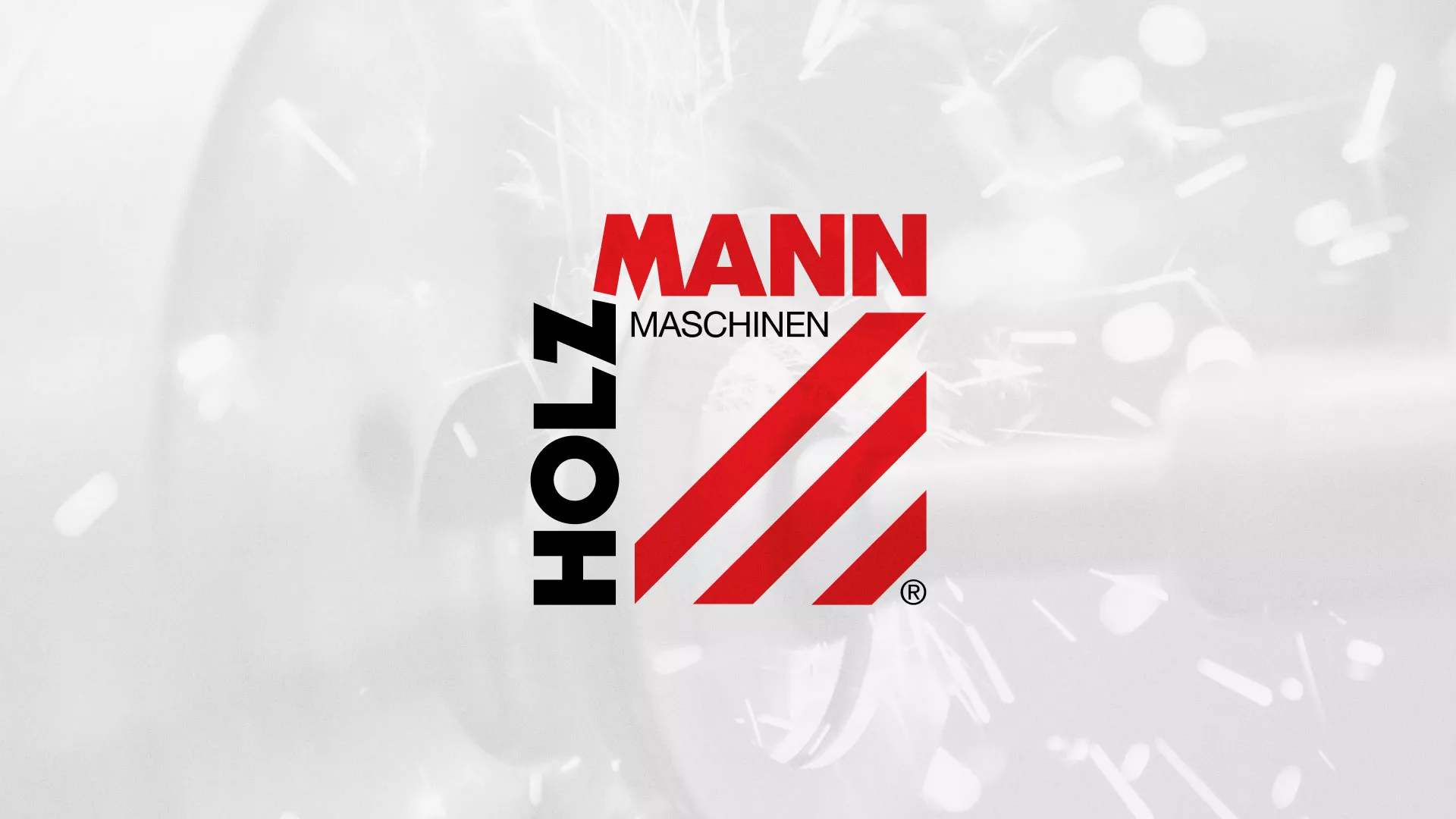 Создание сайта компании «HOLZMANN Maschinen GmbH» в Далматово
