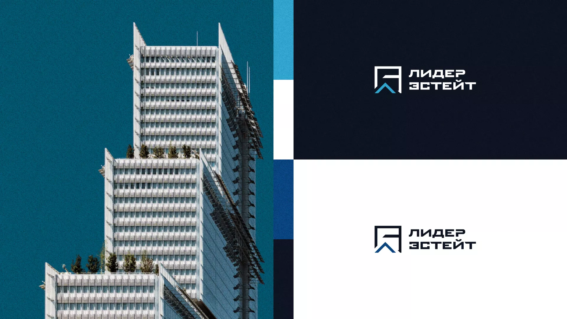 Разработка логотипа агентства недвижимости «Лидер Эстейт» в Далматово
