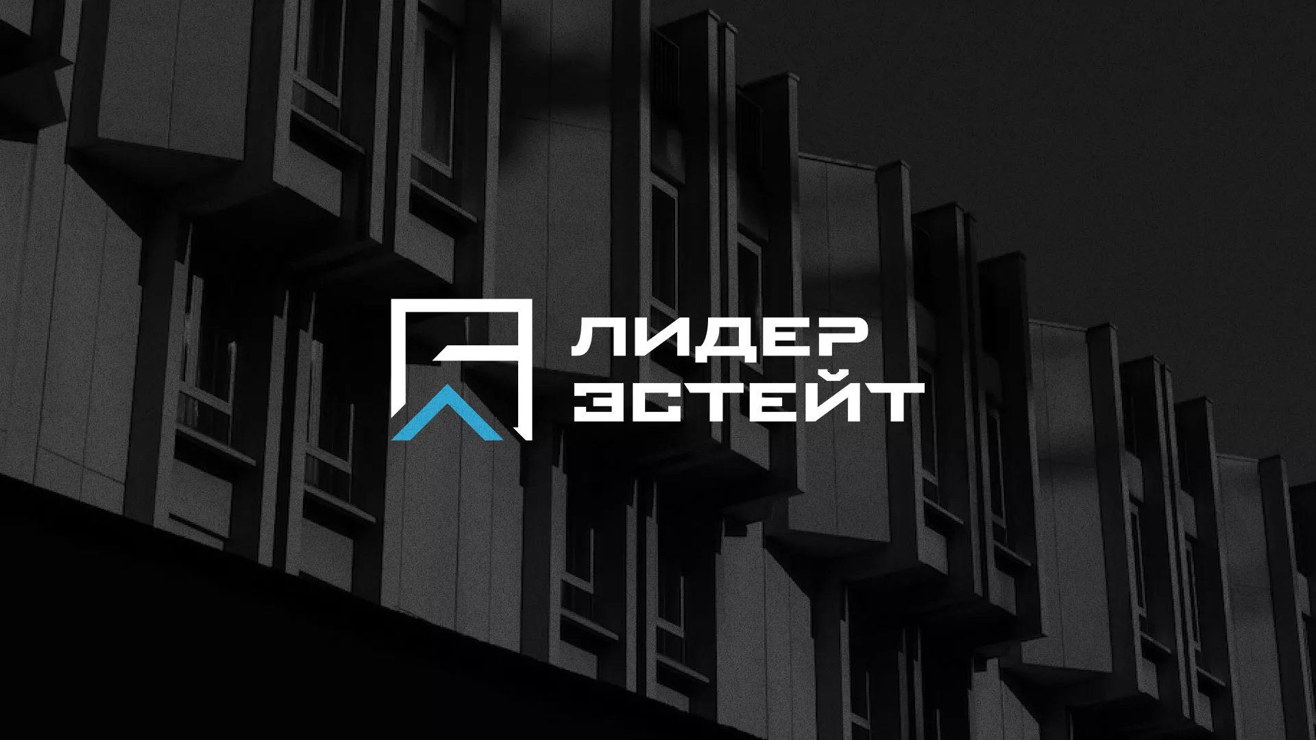 Разработка логотипа агентства недвижимости «Лидер Эстейт» в Далматово